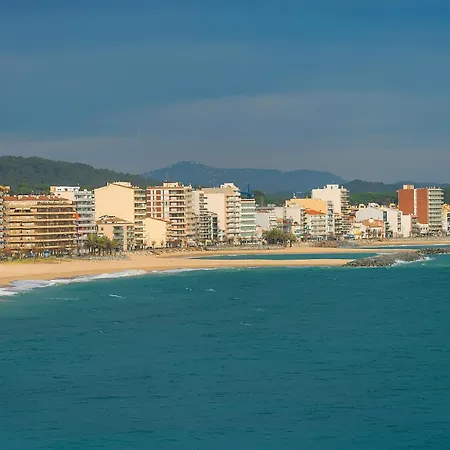 Eden Mar *